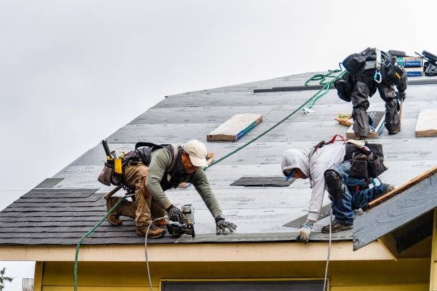 Professional Storm Damage Roof Repair technician working in Hallwood, VA